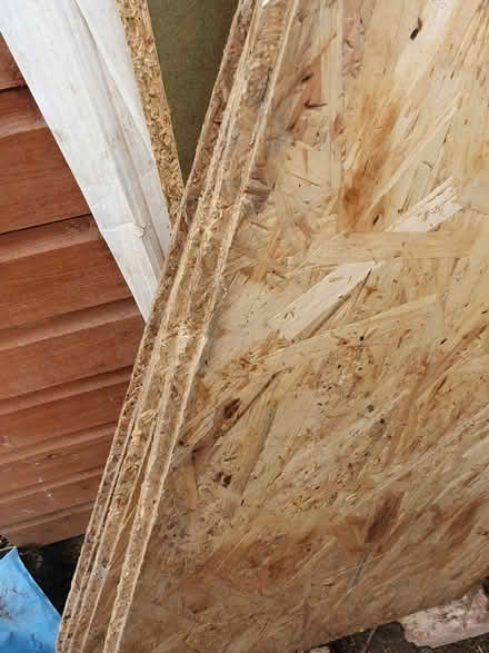 Photo of free X3 sheets osb/sterling boad (South Ealing) #2
