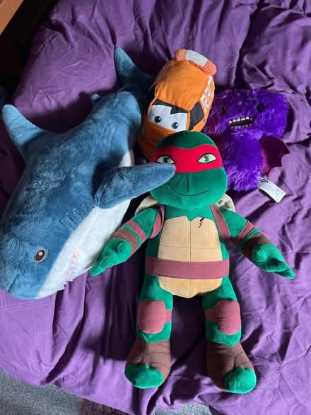 Photo of free Collection of cuddly toys (Sedgley DY3) #1