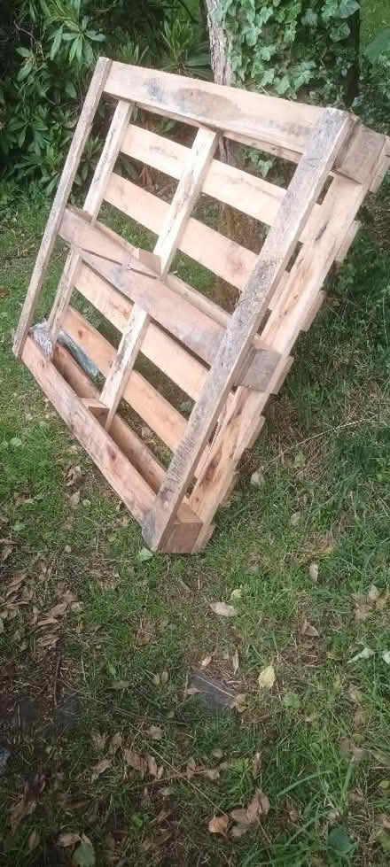 Photo of free Wooden palet (Appleby-in-Westmorland CA16) #1