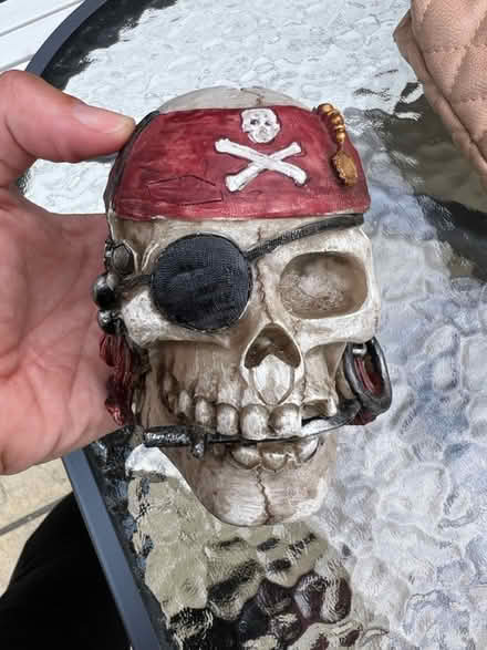 Photo of free Skull Money pigbox (Croydon) #2