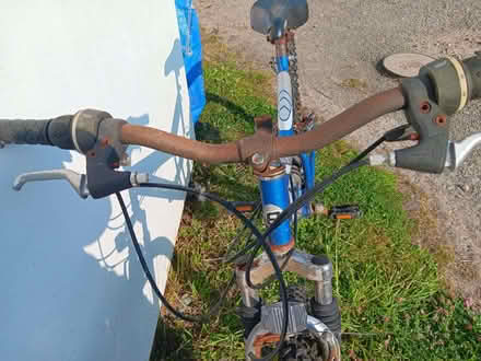 Photo of free Lady's bike (Pant SY10) #2