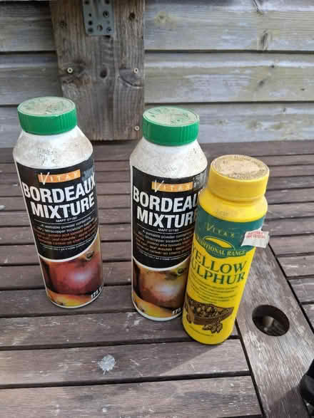 Photo of free Gardening disease control (Fishponds BS16) #1