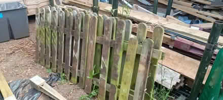 Photo of free picket fence and gate (Abingdon OX14) #3