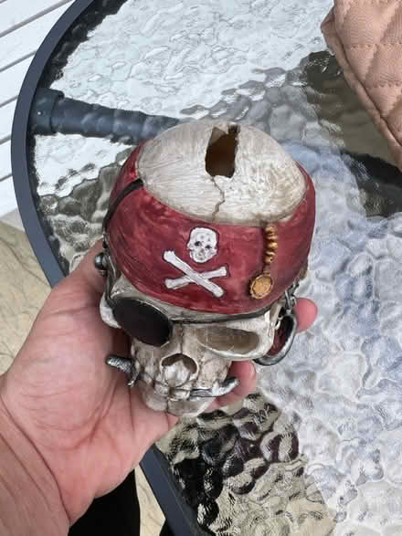 Photo of free Skull Money pigbox (Croydon) #1