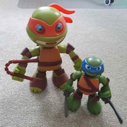 Photo of free Teenage Mutant Ninja Turtles (East Acton W3) #1