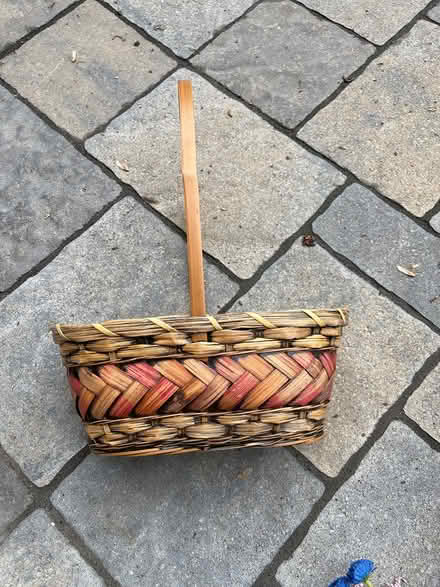 Photo of free Floral things (Beacon Hill) #4