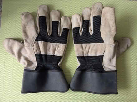 Photo of free Large Gardening Gloves (Beulah Hill SE19) #1