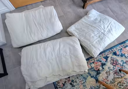 Photo of free Old duvets (pet bedding?) (Boughton Monchelsea ME17) #1