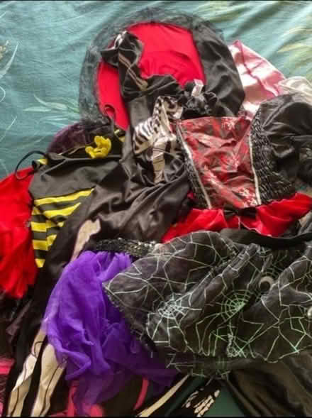 Photo of free Fancy dress bundle (Dunfermline KY12) #1