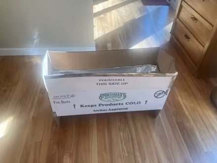 Photo of free cardboard fish box (North Hadley) #1