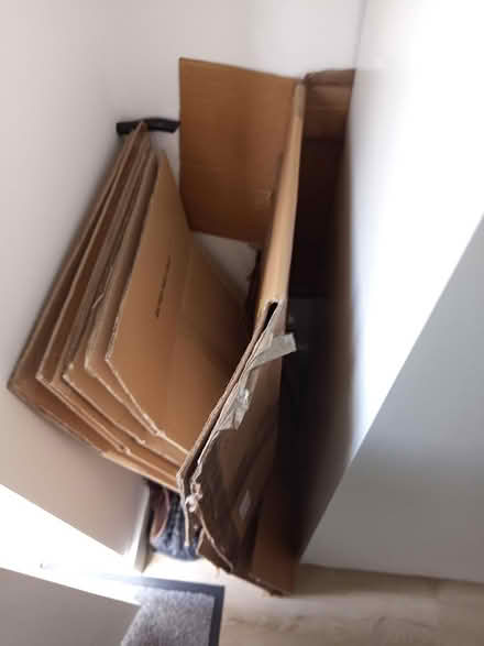 Photo of free Moving cardboard boxes (Dinnington, S25) #1