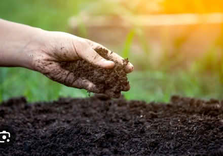 Photo of soil/cow manure etc (12575) #1