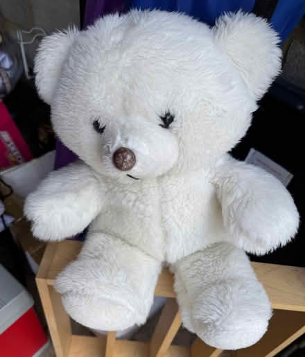 Photo of free White Ted - Please look after this bear! (Beaconsfield HP9) #1