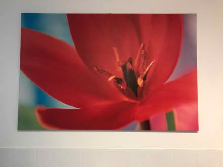 Photo of free Large ikea poppy canvas (Lower Sydenham) #1