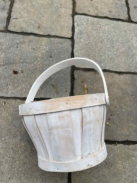 Photo of free Floral things (Beacon Hill) #2