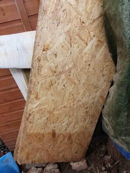 Photo of free X3 sheets osb/sterling boad (South Ealing) #1