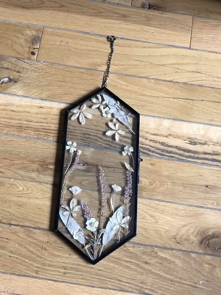 Photo of free various decorations (Washington Heights) #2