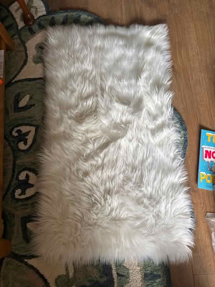 Photo of free Small faux fur shaggy rug (Limehouse E1) #1