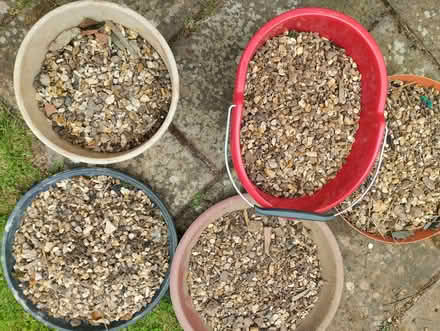 Photo of free Gravel - small stones (Mapperley Park NG3) #1
