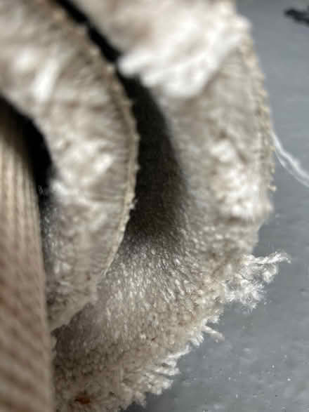 Photo of free Bedroom carpet 4mx4m (South Kirkby WF9) #1