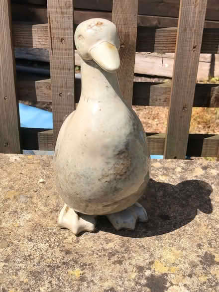 Photo of free Ceramic duck garden ornament (Wood Farm OX3) #1