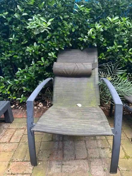 Photo of free Garden chairs (NW3) #1