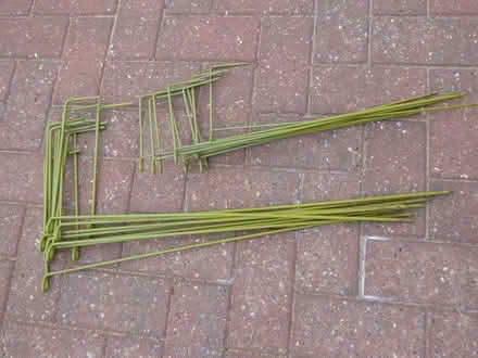 Photo of free Plant Supports (Codsall WV8) #1