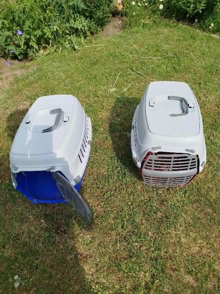 Photo of free Small animal pet carrier (Catton NR6) #1