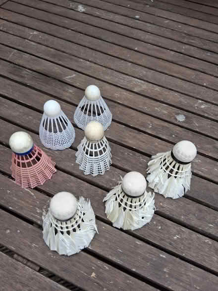 Photo of free Shuttlecocks (Fishponds BS16) #1