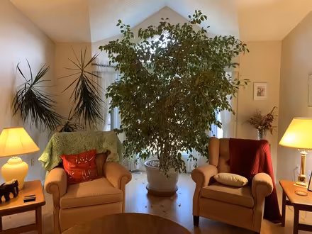Photo of free Large plants (Edmonton south) #1