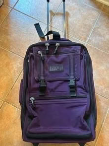 Photo of free Carry n luggage backpack (L5L 5P5) #1