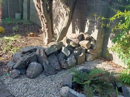Photo of free Rockery stones (Walkinstown) #1