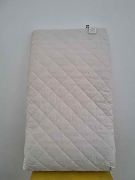 Photo of free Legs pillow (West End/Haymarket EH11) #1