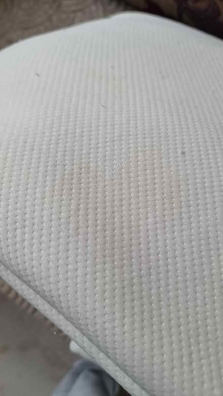 Photo of free Pillows (St. John's Wood NW8) #2