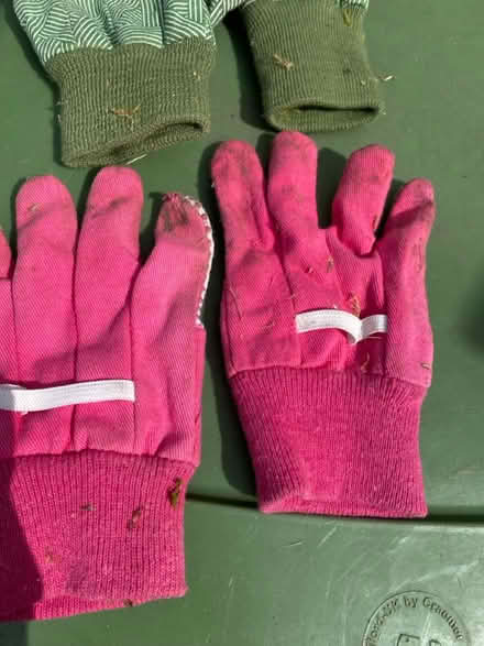 Photo of free 2 pairs children’s gardening gloves (Maidstone, ME14) #4