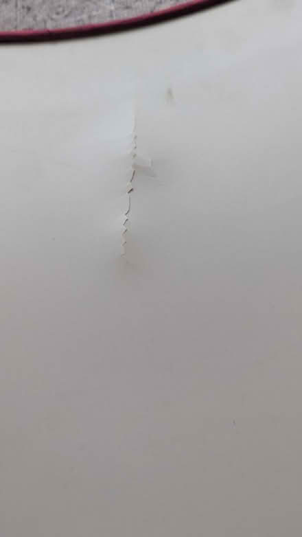 Photo of free XL size Lampshade (RG24 Old Basing) #4