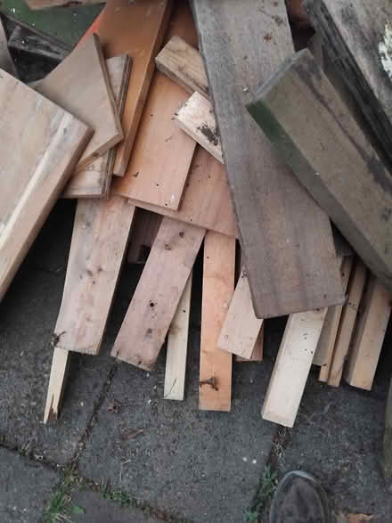 Photo of free Dry Timber Various (Panshanger AL7) #4
