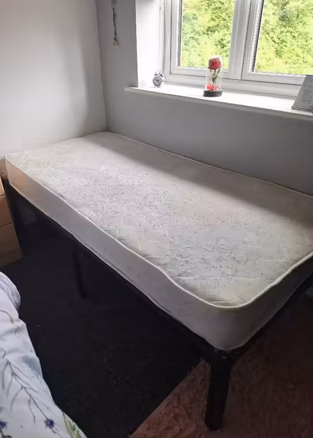 Photo of free Single bed and mattress (Moss LL11) #4