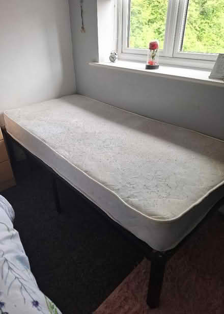 Photo of free Single bed and mattress (Moss LL11) #4