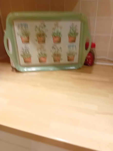 Photo of free Serving Trays (Solihull B91 3DS) #1
