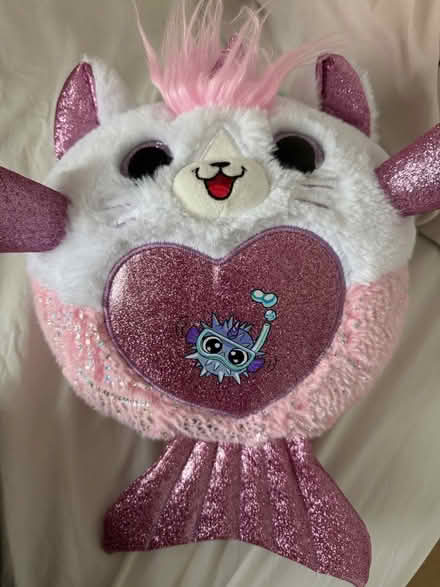 Photo of free teddy (GL3) #1