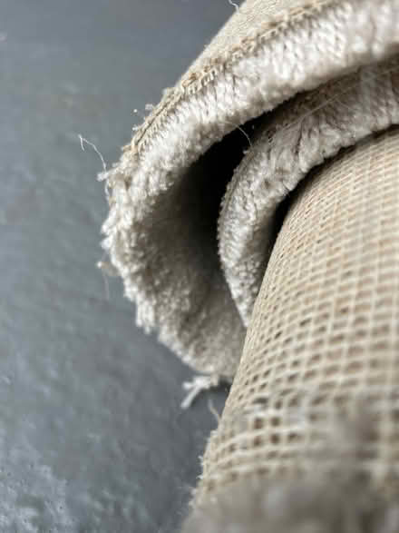 Photo of free Bedroom carpet 4mx4m (South Kirkby WF9) #3