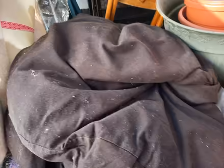 Photo of free Bean Bag (Collyhurst M40) #1