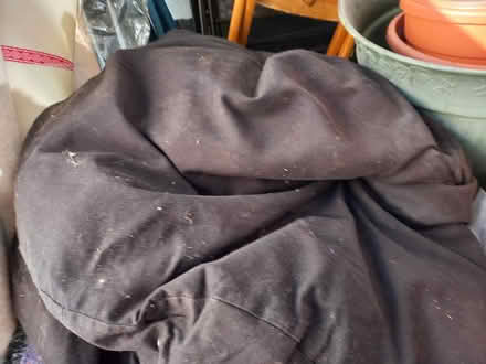 Photo of free Bean Bag (Collyhurst M40) #1