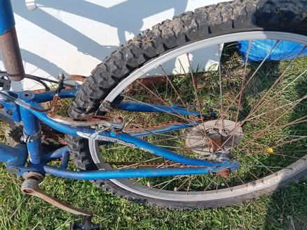 Photo of free Lady's bike (Pant SY10) #1