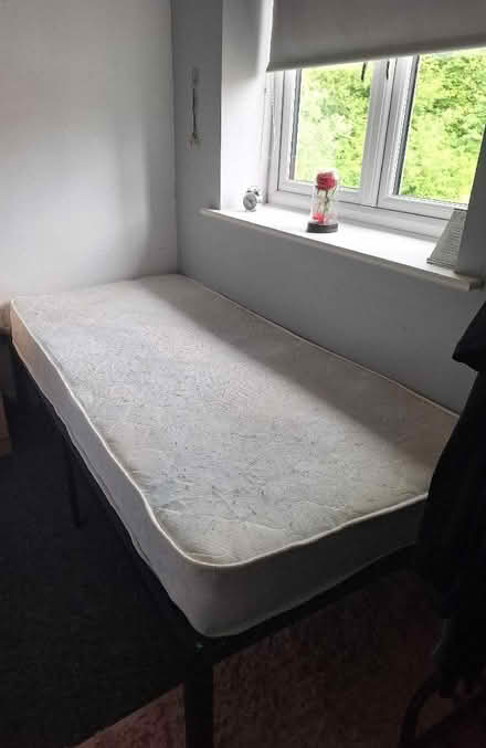 Photo of free Single bed and mattress (Moss LL11) #2