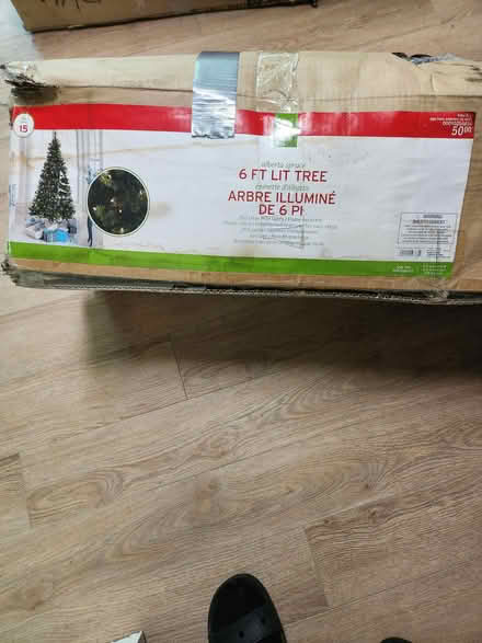 Photo of free Christmas Tree (Edinburgh and Water) #1