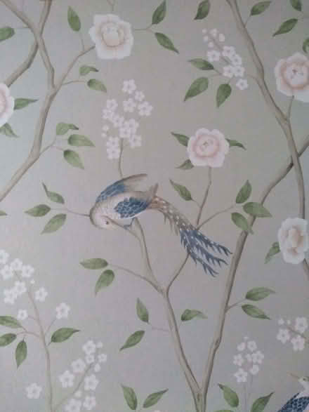 Photo of free Small amount of very pretty wallpaper (Newent GL18) #1