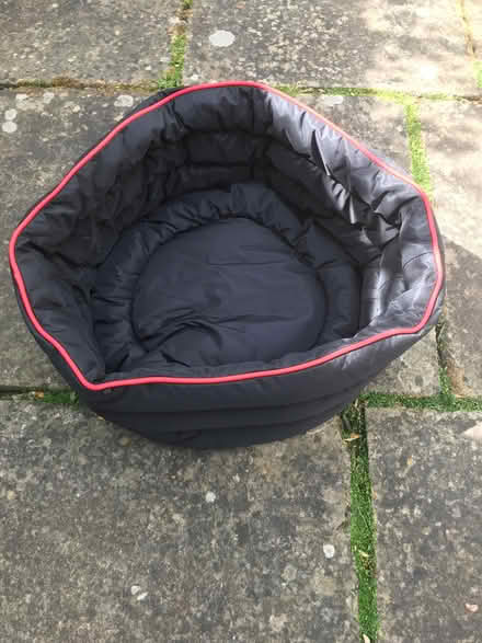 Photo of free 3 Peaks Waterproof Dog Bed (Richmond TW9) #3