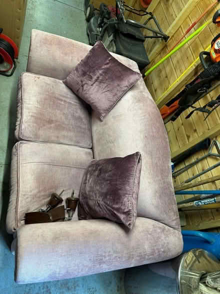 Photo of free Lilac Sofa and cushions (Botany Bay Point GU25) #2